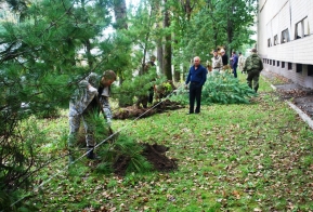 В Хабаровске появилась кедровая аллея в честь 50-летия Дню работника леса
