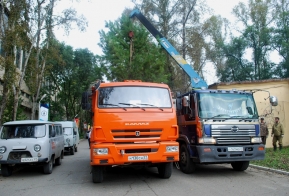 В Хабаровске появилась кедровая аллея в честь 50-летия Дню работника леса