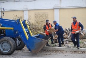 В Хабаровске появилась кедровая аллея в честь 50-летия Дню работника леса