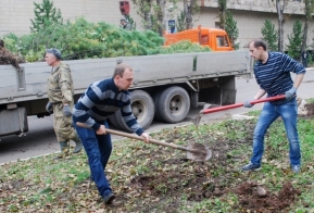 В Хабаровске появилась кедровая аллея в честь 50-летия Дню работника леса